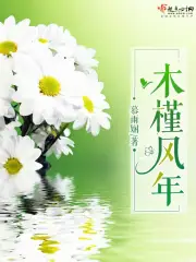 木槿风年